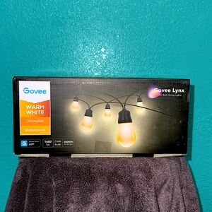 Govee Lynx String Light